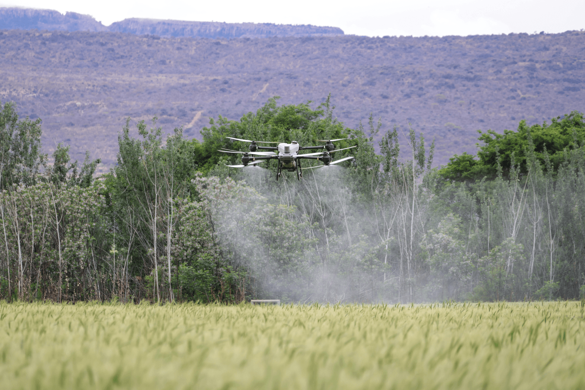 Drone intelligence and field monitoring
