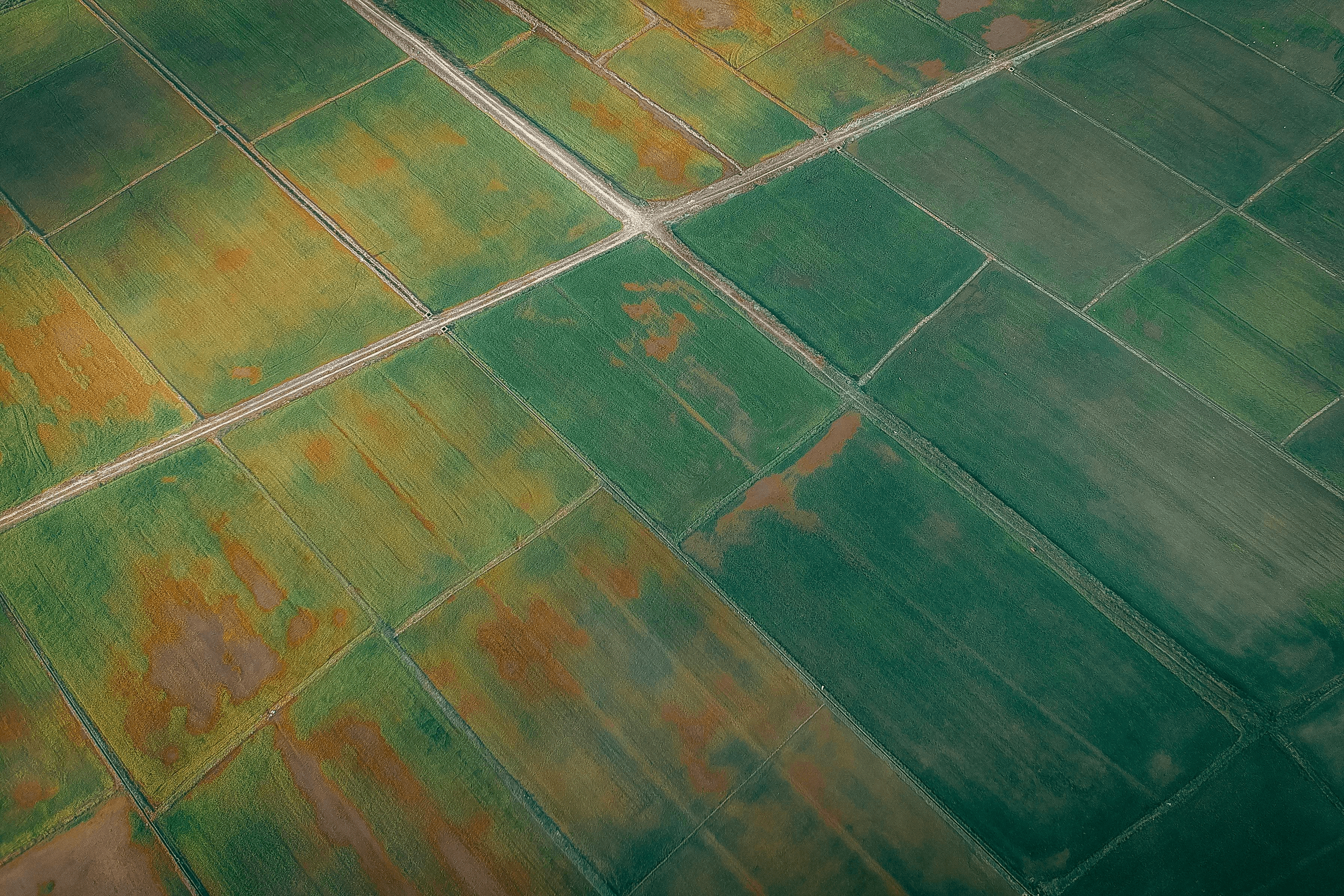 Case Study 2: Recurring monitoring for a plantation program